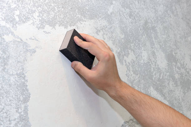 Best Post-Construction Mold Inspection  in Mayfield, KY