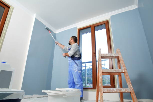 Best Basement Mold Removal  in Mayfield, KY