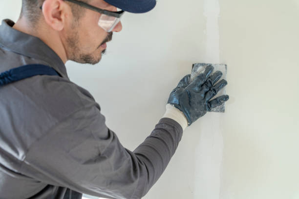 Best Attic Mold Removal  in Mayfield, KY