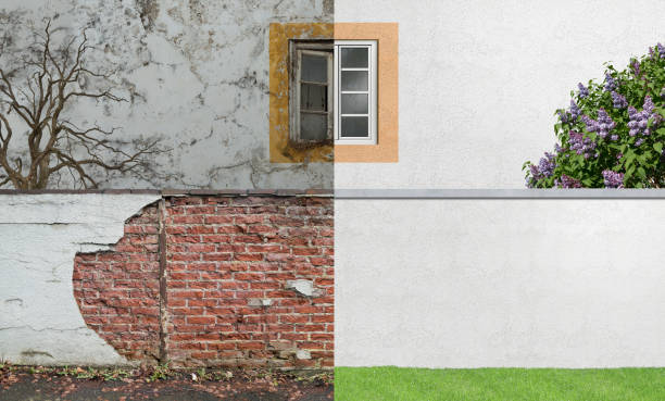 Professional Mold Removal in Mayfield, KY