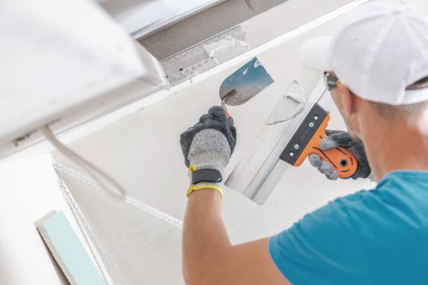 Best Commercial Mold Inspection  in Mayfield, KY
